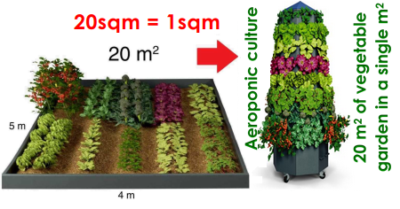 VeVe Vertical Garden